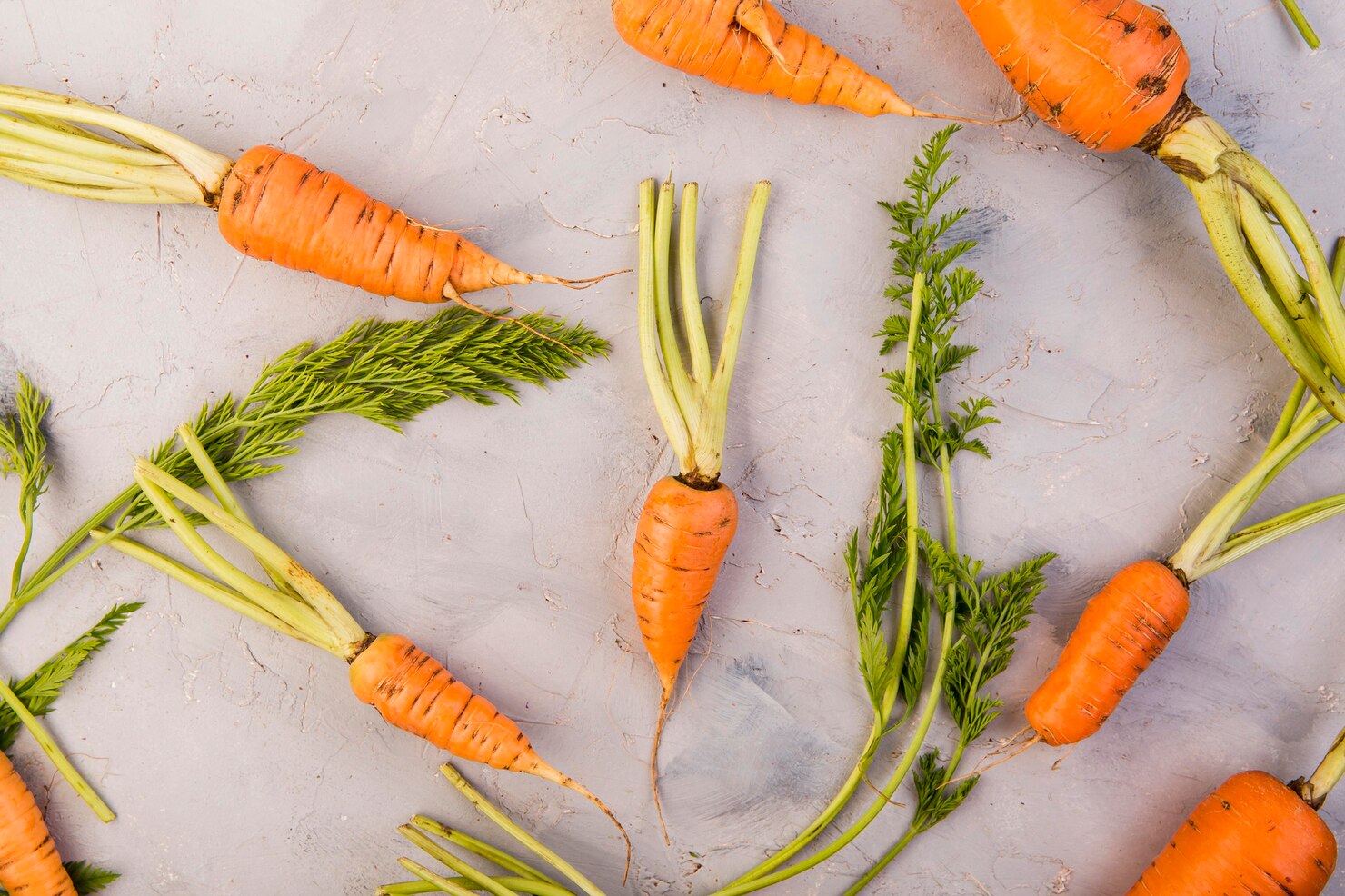 Fresh carrots